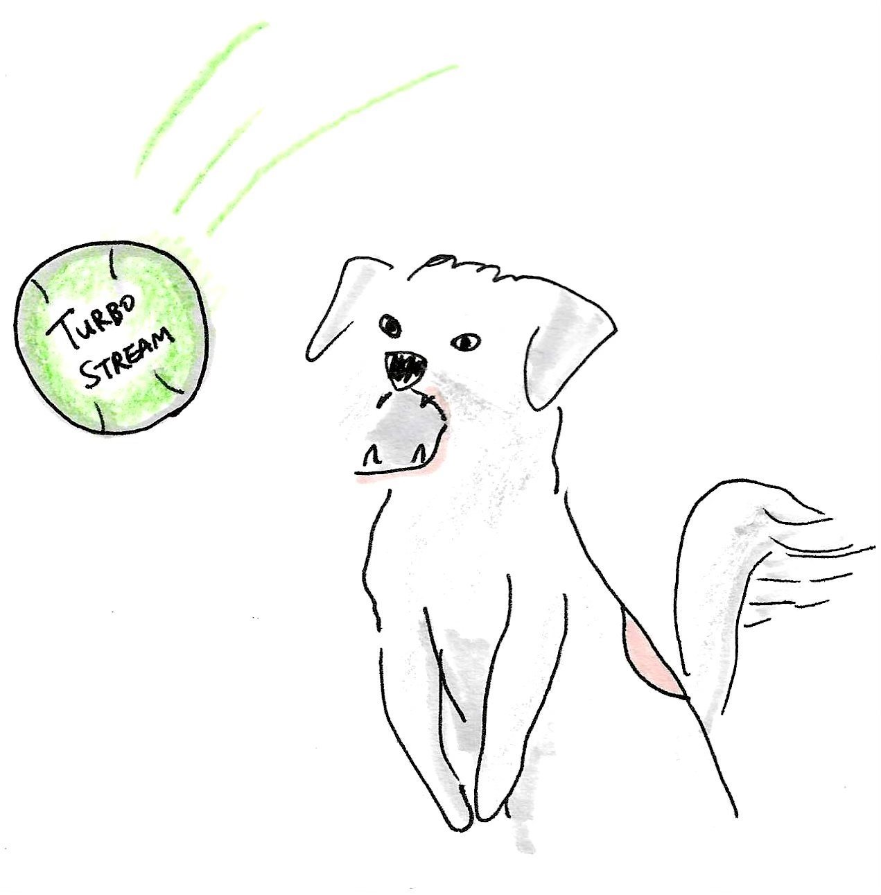 Dog, who sometimes responds to the name Ben, going after a ball labelled Turbo Stream